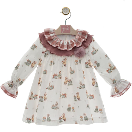 Delicate Girl's Dress